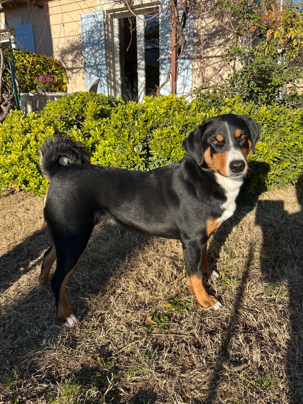 Shiva's Dream Us And Them Sonam